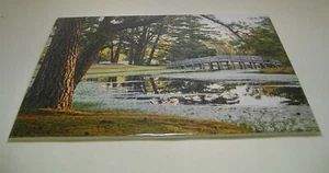 "Access 9th Hole" Intermediate Color art by Larry E. Santucci - Picture 1 of 2