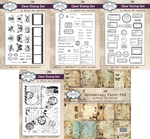 Creative Expressions - Tracie Fox Entomology Collection Clear 6x8 Stempel oder Papier - Bild 1 von 59