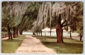 Postal antigua Alberttype coloreada a mano Oxford MD LOVER década 1920**arrugada** - Imagen 1 de 2
