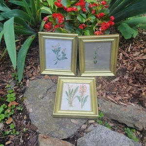 Vintage Set of 3 Gold Framed Under Glass Floral Artwork 6 x 7 - Picture 1 of 12