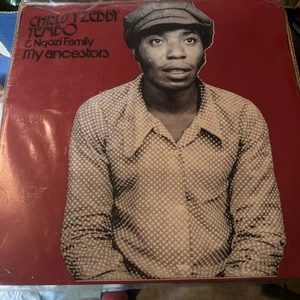 CHRISSY ZEBBY TEMBO & NGOZI FAMILY MY ANCESTORS NEW LP - Picture 1 of 3