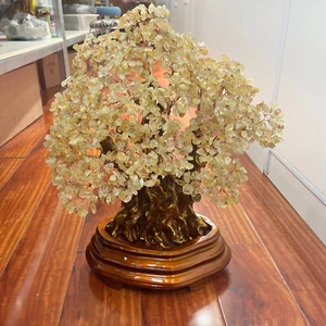 Citrine Quartz Crystal Bonsai Tree Energy Tree Gemstone tree of Life home decor - Picture 1 of 7