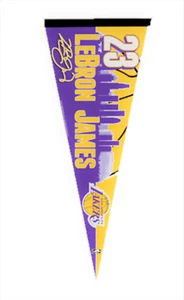LeBron James Los Angeles Lakers Collectors Pennant (BNWT) - Picture 1 of 2