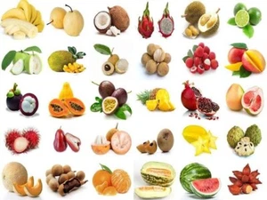 MIX 215 tropical fruit/nut/tree se eds jackfruit/cashew/tamarind/passion/grape - Picture 1 of 7