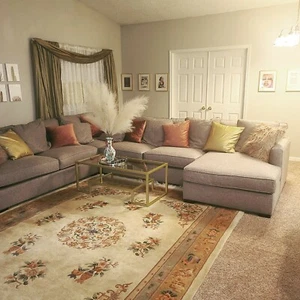 Mid-late century Chinese Aubusson Woven Rug - Picture 1 of 7