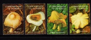 DOMINICANA FUNGHI MUSHROOM PILZEN RIF 117 - Imagen 1 de 1