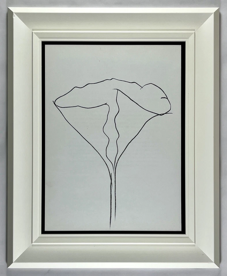 Litografía Ellsworth Kelly Lotus Maeght estudio rectorio corona sello verso Foto 1 de 4