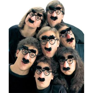 Adults High Brow Disguise Glasses - 1 Pc. - Picture 1 of 1