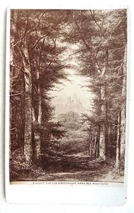 CDV PHOTO ALBUMEN JAGEMANN à EISENACH CHATEAU DANS UN PAYSAGE E96 - Foto 1 di 1