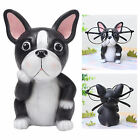 Eyeglass Spectacle Holder Stand, Sunglasses Stand Cute Dog, Creative Glasses