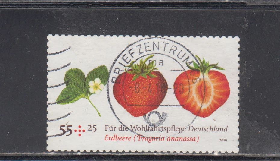 GERMANY :  2010 - USED  - SCOTT # B1028   SEMI POSTAL / FRUITS - Image 1 of 1