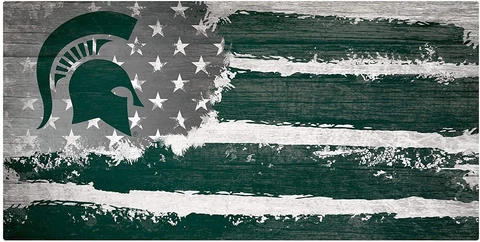 Michigan State Spartans "Flag Themed" Wood Signs 6"x12" Cover