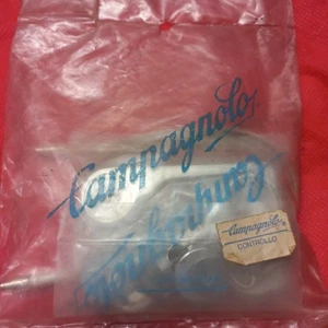PALANCAS CAMBIO CAMPAGNOLO VICTORY - Imagen 1 de 4