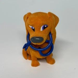 Sweetbox "Fluffy Puppies - No Box - Golden Retriever with Stethoscope - Picture 1 of 9