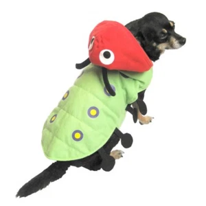 Raupe Hundekostüm grün Käfer Haustier Outfit XX-Small - Bild 1 von 1