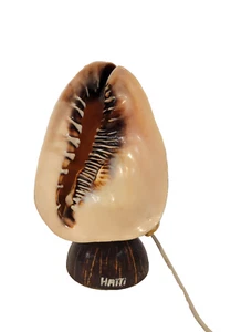 Vintage Conch Shell Lamp Light Haiti Handmade Works - Picture 1 of 7