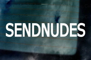 #SEND NUDES Funny Novelty Internet Meme Car Vinyl Die Cut Stickers Decals ref:5 - Picture 1 of 2