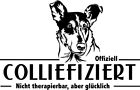 COLLIE Autoaufkleber - Aufkleber Collie - Schriftzug Collie infiziert - sticker