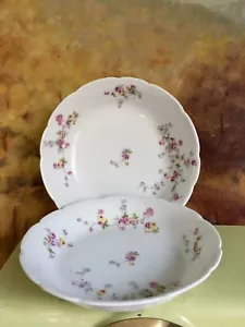 Bassett Limoges Austria Bowls, 7 1/2" And 8 “ Floral Bowls Lot Of 2 - Picture 1 of 8