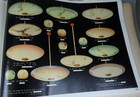 185 Seiten Katalog Bukma-Leuchten - Art Deco und 50er Jahre Lampen 1952 (99781)