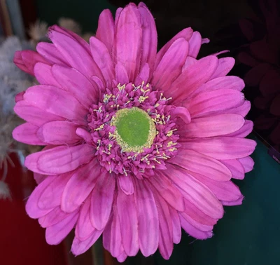 große Blume Gerbera Blüte pink - Länge 105 cm - Ø Blüte 28 cm *** XXL Kunstblume - Bild 1 von 4
