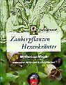 Zauberpflanzen - Hexenkräuter von Scherf, Gertrud | Buch | Zustand sehr gut
