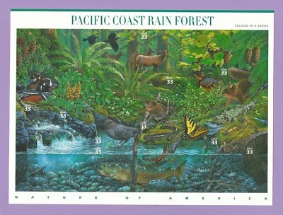 3378  US... Pacific Coast Rain Forest ...  Never Hinged Sheet  issued year 2000 - Image 1 of 2