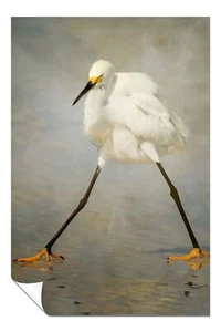 Weißer Reiher Vogel auf Wasser Künstlerisches Poster Wandbild Wohndeko - Bild 1 von 4