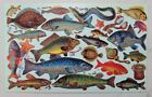 The Gifted Line Collectable Vintage Stickers 1995 John Grossman  Fish