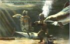 Giant Turtle & Porpoises, Marine Studios, MARINELAND, Florida Linen Postcard
