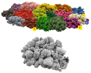 Muwse Bastelmoos 100g präpariert Kopf gereinigt Islandmoos Auswahl Deko