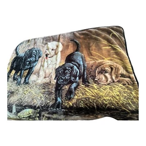 Labrador Puppies Fleece Throw Blanket Northwest Company Doughtry 60" X 50" Dog - Picture 1 of 6