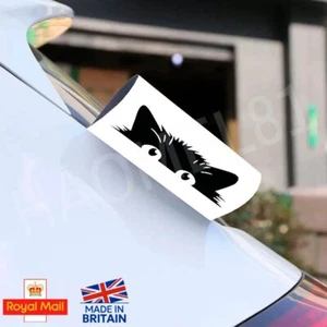 TAG YOUR CAR- Black Tag - Funny Car Stickers - Peeking Cat-Decal - Picture 1 of 1