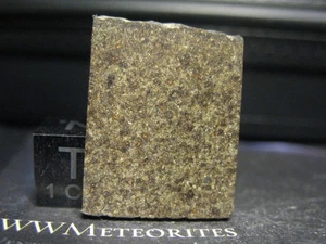 Meteorite NWA 15722 - CO3 - Abundant Small Chondrules (170 µm) and CAI's - Picture 1 of 2