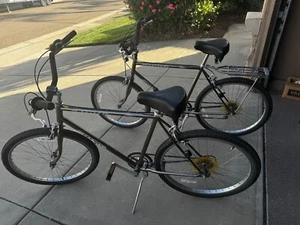 Two  Schwinn Deluxe Cruisers - Picture 1 of 9
