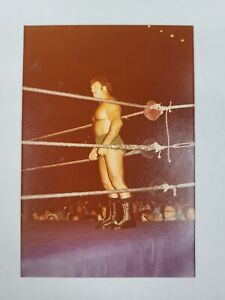Vintage WWF Wrestler Original Photo SIGNED By Bruno Sammartino 3.5" x 5"
