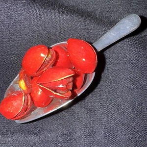 Vintage 1985? Cucharada (Alemania) de tuercas de pistacho rojas esmaltadas imán de refrigerador - Imagen 1 de 6