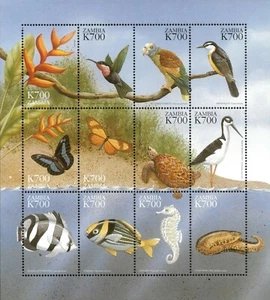 Zambia 2000 - Beach Fish, Turtles, and Birds - Sheet of 12 - Scott 827 - MNH - Picture 1 of 1