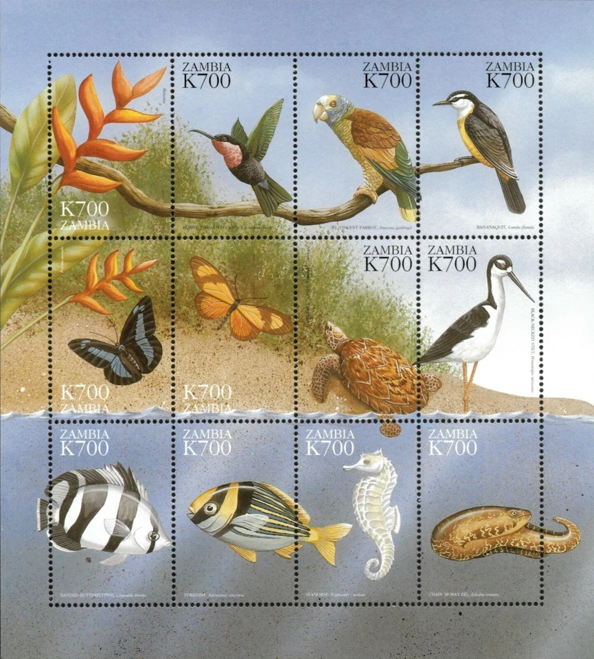 Zambia 2000 - Beach Fish, Turtles, and Birds - Sheet of 12 - Scott 827 - MNH Foto 1 de 1