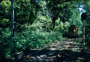 Baltimore Transit car number 5593 TROLLEY & RAILROAD OLD PHOTO - Picture 1 of 1