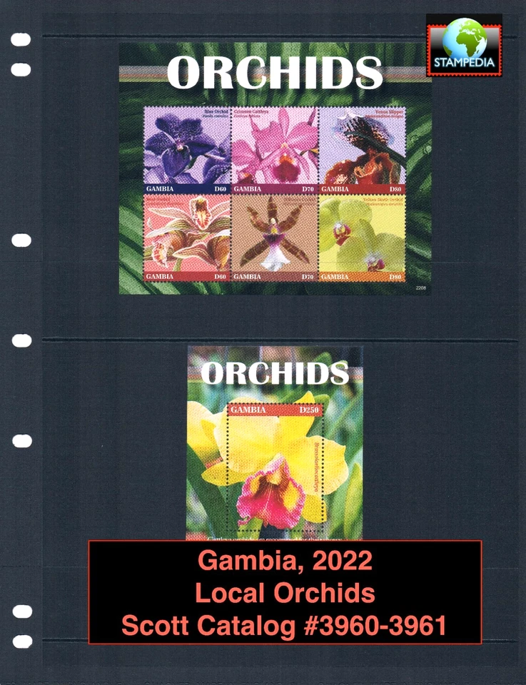 $24.75 Scott Value - 2022 GAMBIA Flores Orquídeas 2 s/s African CV MNH NH UMM Foto 1 de 4