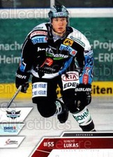 2011-12 Erste Bank Eishockey Liga EBEL #117 Robert Lukas