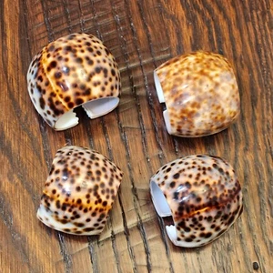 Set of 4 1960s Tortise Shell Napkin Rings Holders - Picture 1 of 7