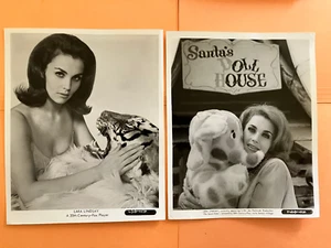 Lara Lindsay 1960s starlet . (2) original vintage 8x10" press headshot photos - Picture 1 of 1