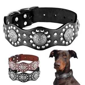 Collare per cane cane bordo largo 4,5 cm borchie collo medio grande pitbull regolabile - Foto 1 di 16