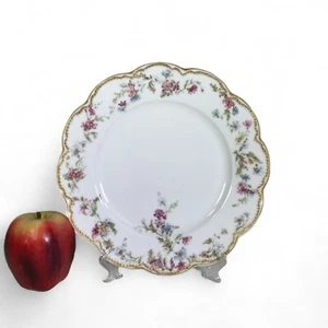 Haviland Limoges Double Gold Schleiger 659A 9.5" Dinner Plate (multi aval) - Picture 1 of 1