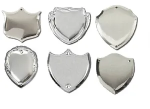 ANNUAL TROPHY SILVER SIDE SHIELDS FREE ENGRAVING PLATES AWARD CARTOUCHE PINS - Picture 1 of 7