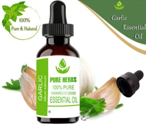 Pure Herbs Garlic 100% Pure & Natural Allium sativum Essential Oil - Picture 1 of 6