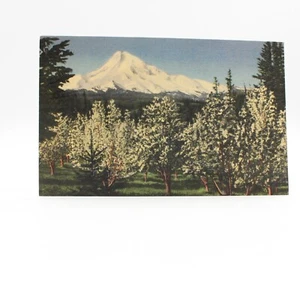 Union Pacific Railroad Mount Hood Oregon Snowcapped Mountain Postcard UNP Linen - Picture 1 of 2