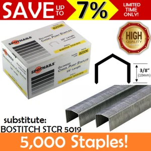 NEW 5000x Spotnails Galvanized Chisel B8 Staples 3/8" 10mm BOSTITCH STCR5019 - Picture 1 of 2